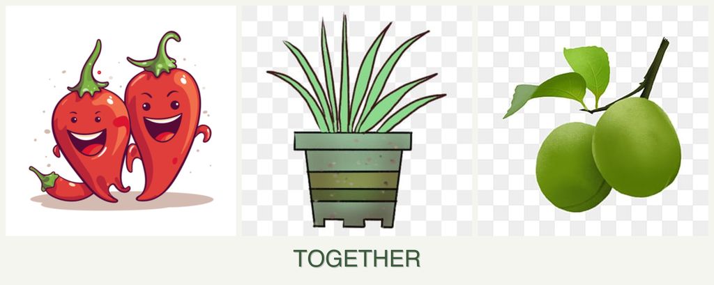 Can you plant peppers, lemongrass and plums together?