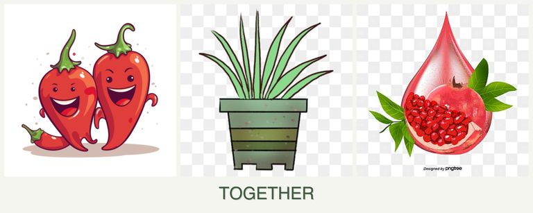Can you plant peppers, lemongrass and pomegranates together?