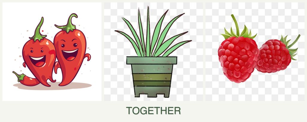 Can you plant peppers, lemongrass and raspberries together?