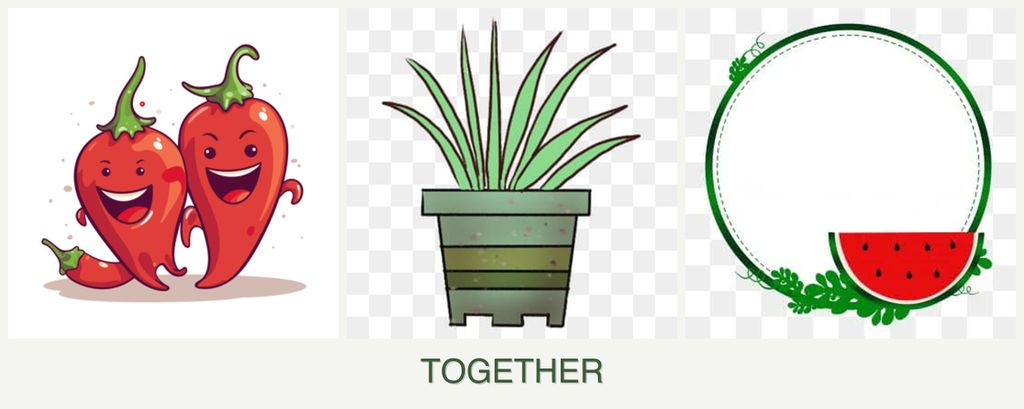 Can you plant peppers, lemongrass and watermelons together?