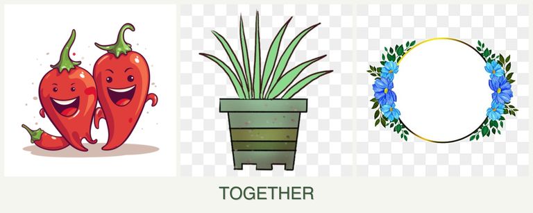 Can you plant peppers, lemongrass and zinnias together?