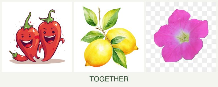 Can you plant peppers, lemons and petunias together?