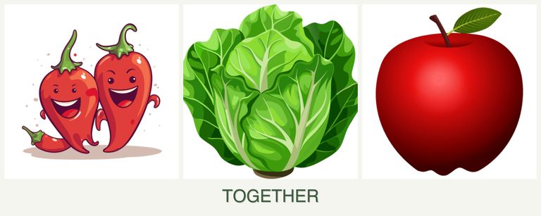 Can you plant peppers, lettuce and apples together?