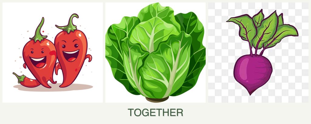Can you plant peppers, lettuce and beets together?