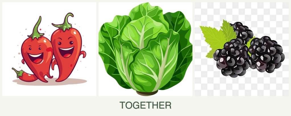 Can you plant peppers, lettuce and blackberries together?