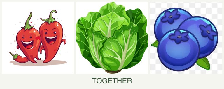 Can you plant peppers, lettuce and blueberries together?