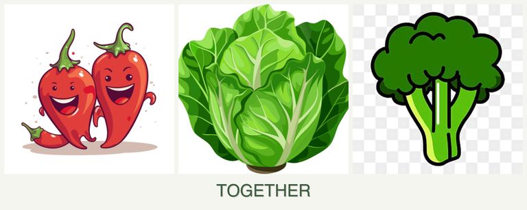 Can you plant peppers, lettuce and broccoli together?