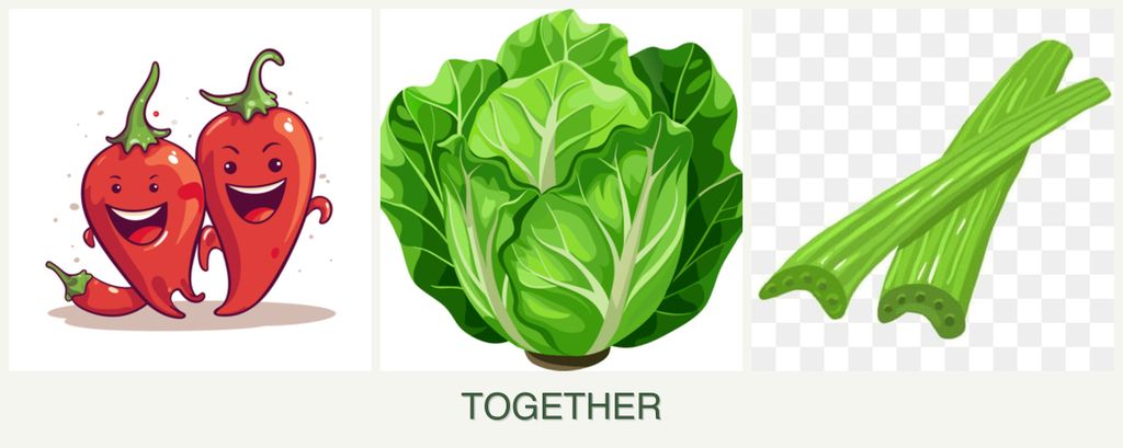 Can you plant peppers, lettuce and celery together?