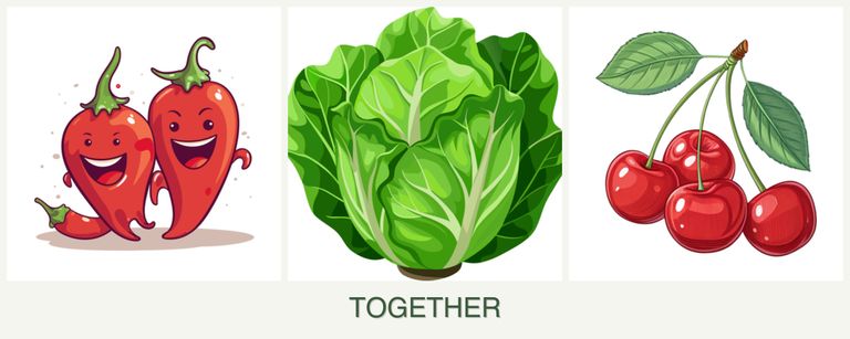 Can you plant peppers, lettuce and cherries together?
