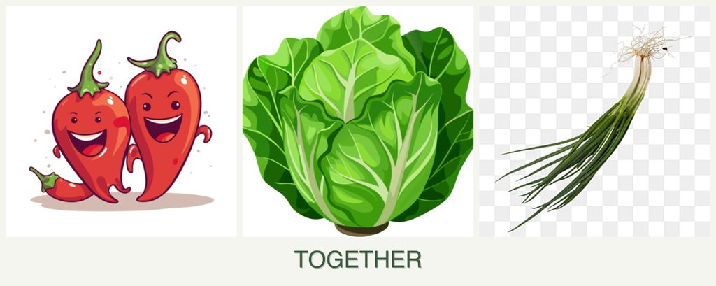 Can you plant peppers, lettuce and chives together?