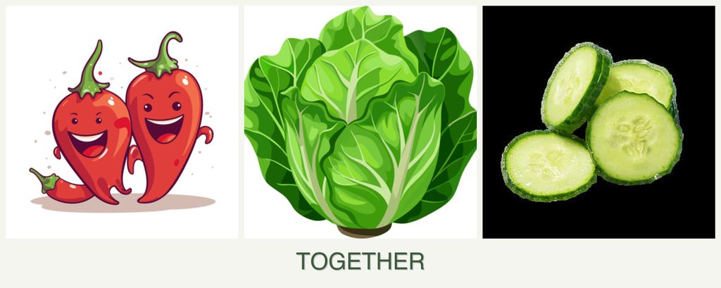 Can you plant peppers, lettuce and cucumbers together?