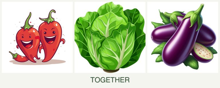 Can you plant peppers, lettuce and eggplant together?