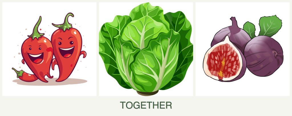 Can you plant peppers, lettuce and figs together?