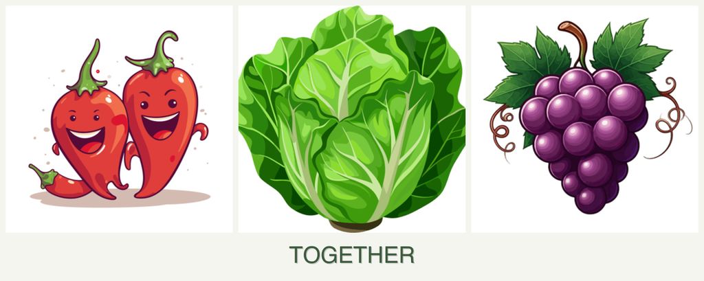 Can you plant peppers, lettuce and grapes together?