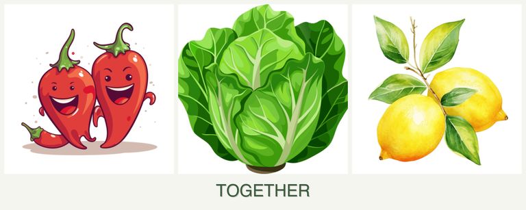 Can you plant peppers, lettuce and lemons together?