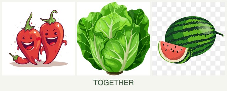 Can you plant peppers, lettuce and melons together?