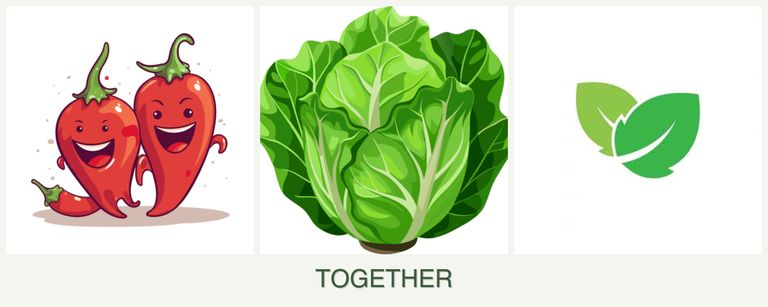 Can you plant peppers, lettuce and mint together?