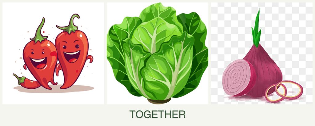 Can you plant peppers, lettuce and onions together?