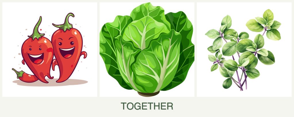 Can you plant peppers, lettuce and oregano together?