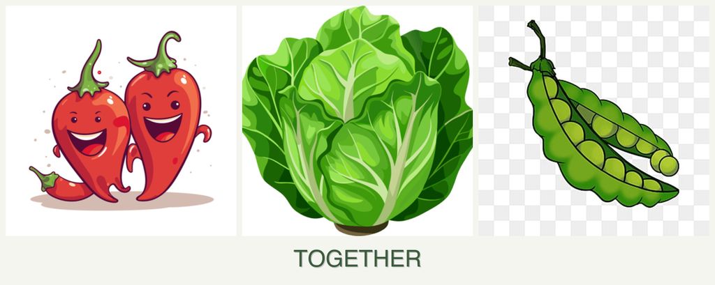 Can you plant peppers, lettuce and peas together?