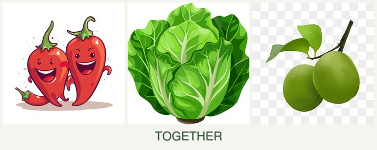 Can you plant peppers, lettuce and plums together?