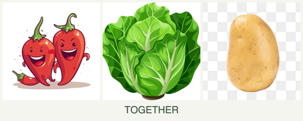 Can you plant peppers, lettuce and potatoes together?