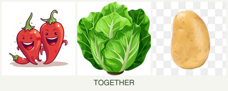 Can you plant peppers, lettuce and potatoes together?