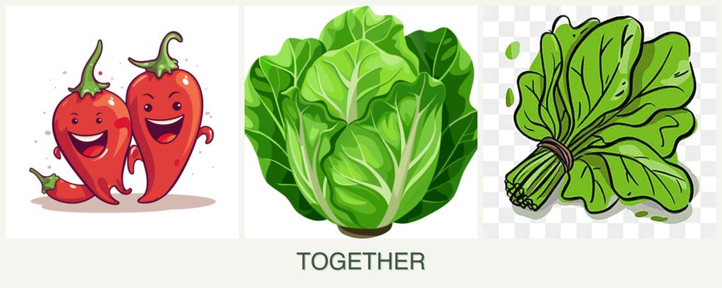 Can you plant peppers, lettuce and spinach together?
