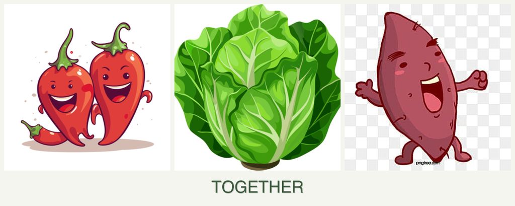Can you plant peppers, lettuce and sweet potatoes together?