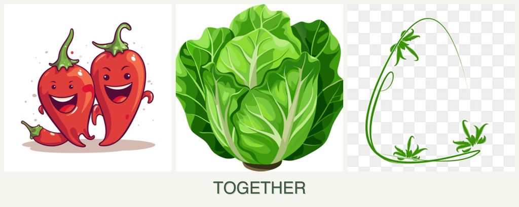 Can you plant peppers, lettuce and tarragon together?
