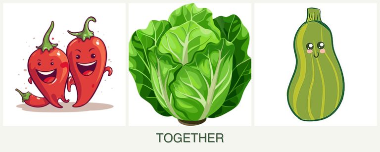 Can you plant peppers, lettuce and zucchini together?