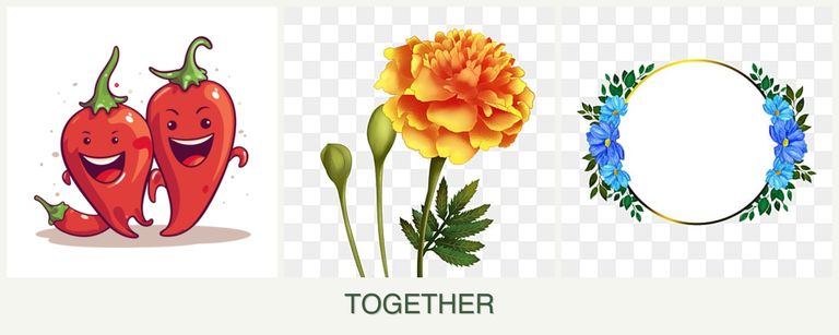 Can you plant peppers, marigolds and zinnias together?