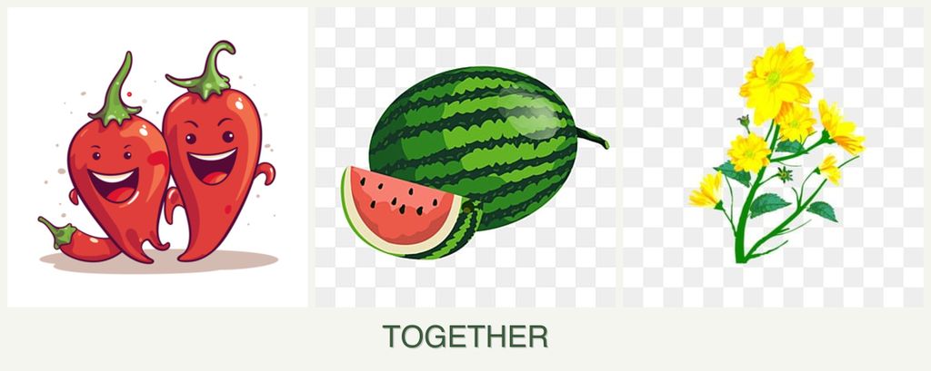 Can you plant peppers, melons and calendula together?