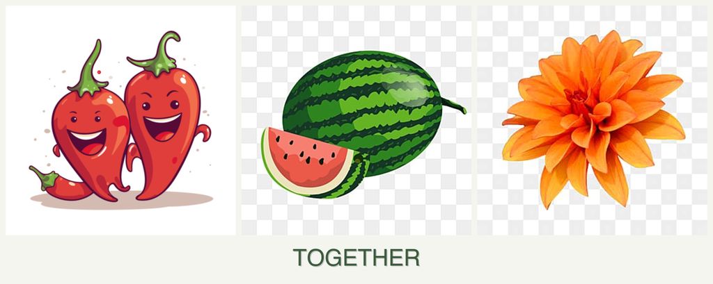 Can you plant peppers, melons and dahlias together?