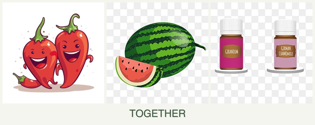 Can you plant peppers, melons and geraniums together?