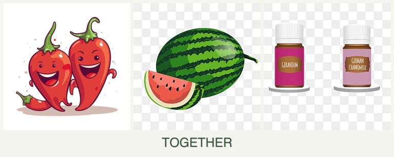 Can you plant peppers, melons and geraniums together?