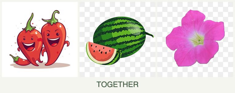 Can you plant peppers, melons and petunias together?