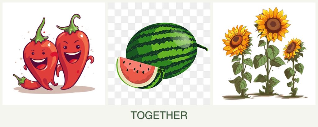 Can you plant peppers, melons and sunflowers together?