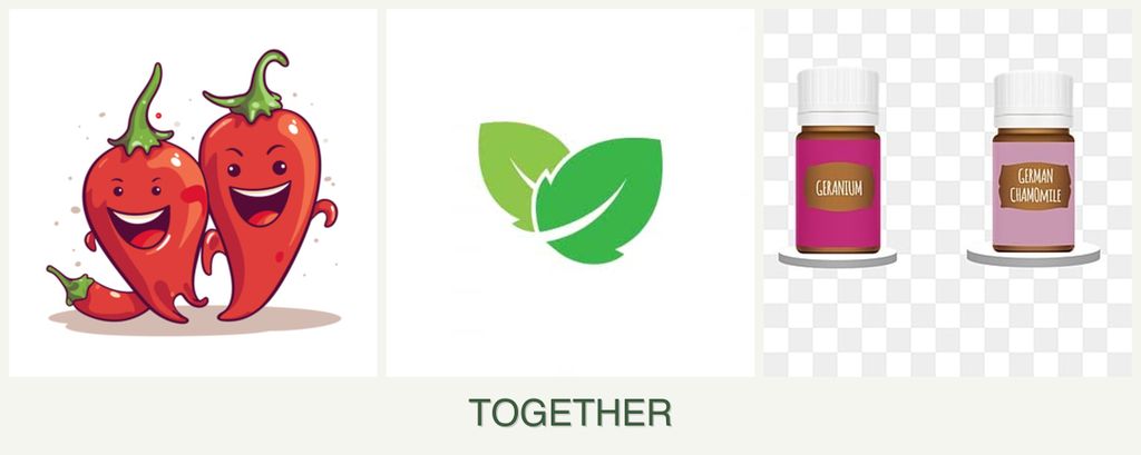 Can you plant peppers, mint and geraniums together?