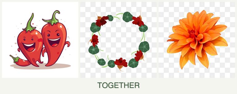 Can you plant peppers, nasturtiums and dahlias together?