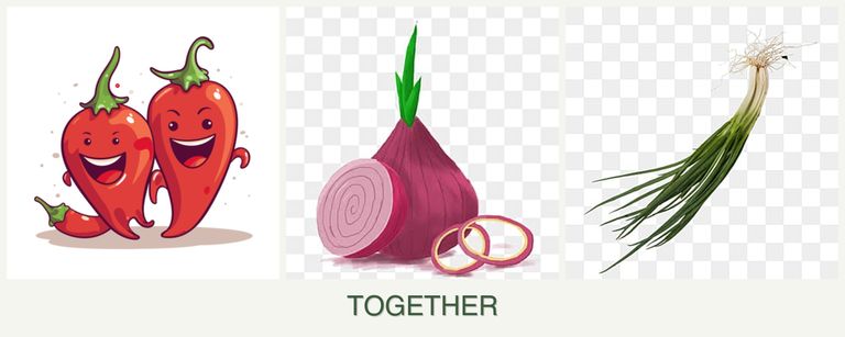 Can you plant peppers, onions and chives together?