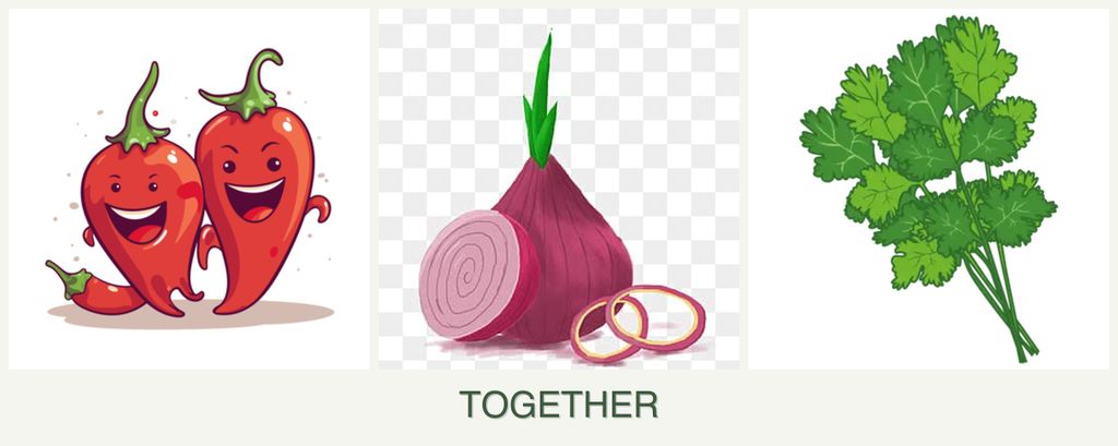 Can you plant peppers, onions and cilantro together?