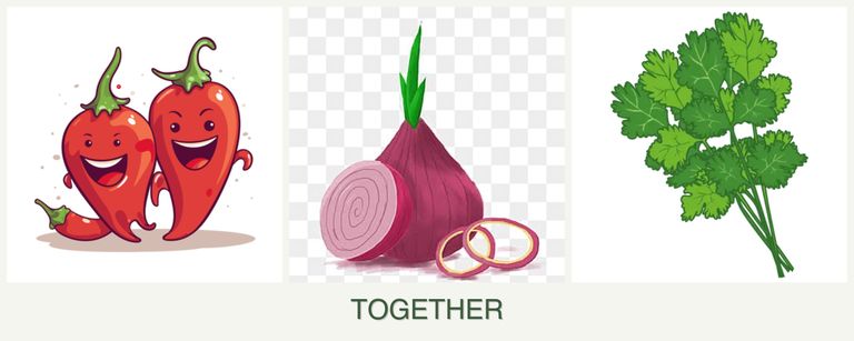 Can you plant peppers, onions and cilantro together?