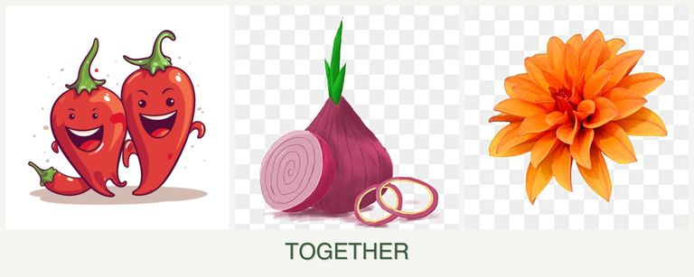 Can you plant peppers, onions and dahlias together?
