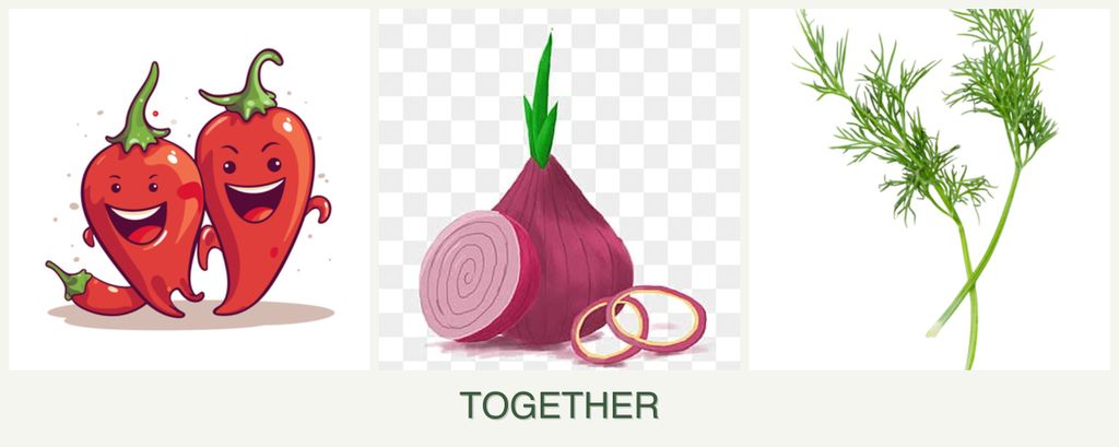 Can you plant peppers, onions and dill together?