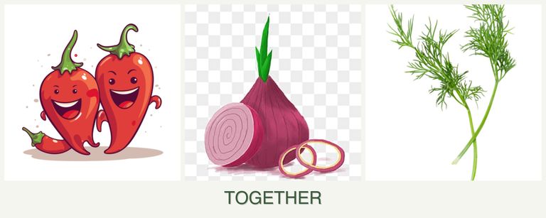 Can you plant peppers, onions and dill together?