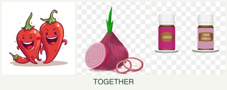 Can you plant peppers, onions and geraniums together?