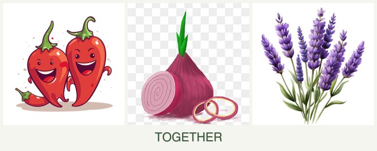 Can you plant peppers, onions and lavender together?