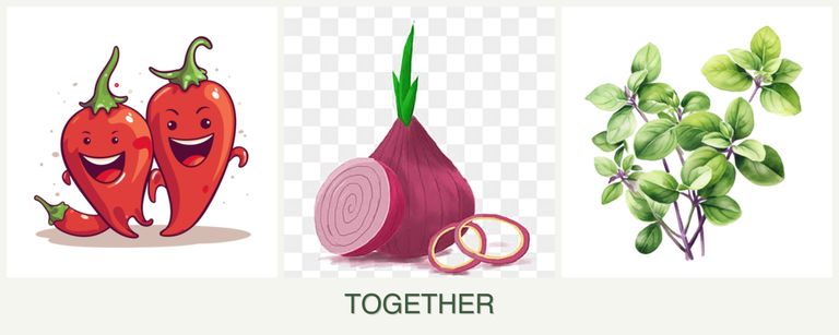 Can you plant peppers, onions and oregano together?