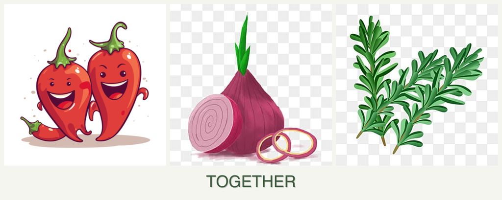Can you plant peppers, onions and rosemary together?